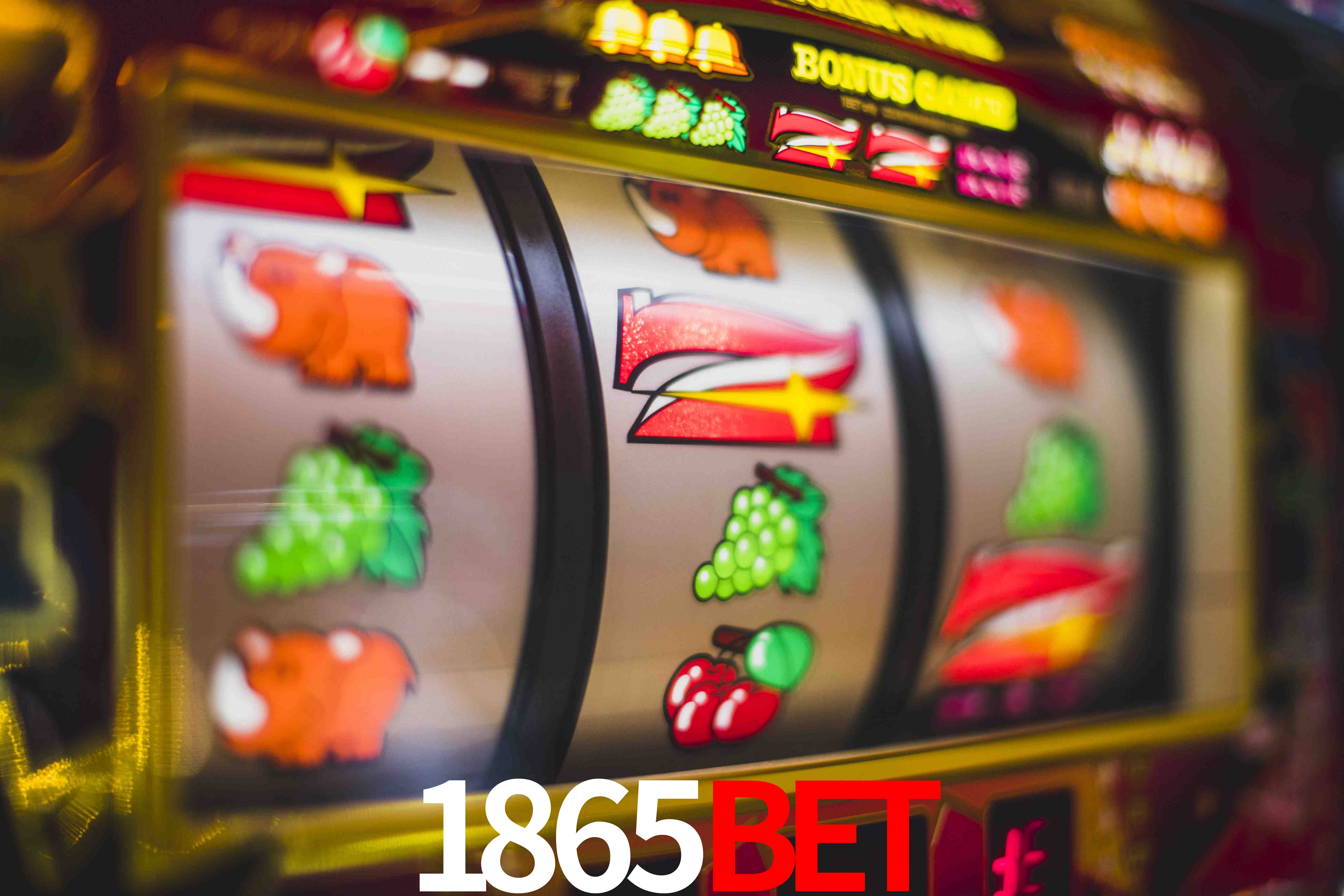 Experiência VIP 1865bet